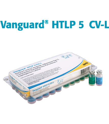 vanguard-plus-htlp-5-original