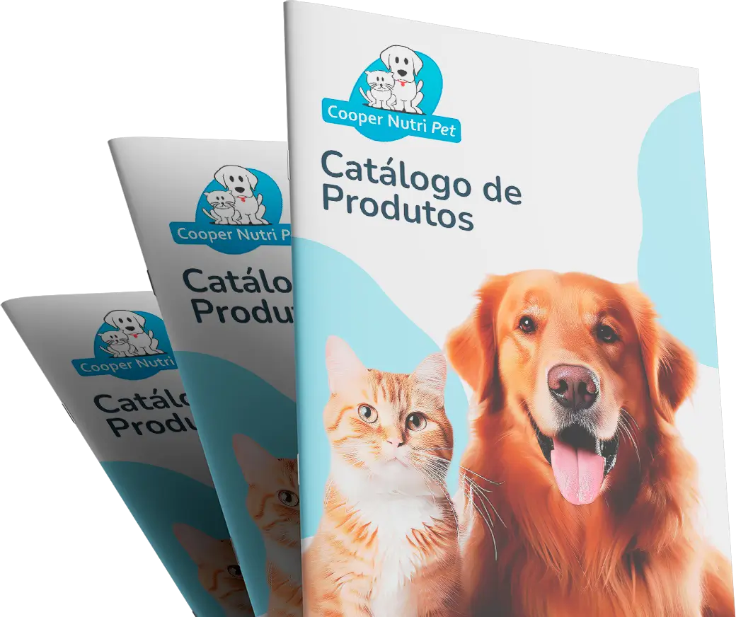 catalogo-2.webp