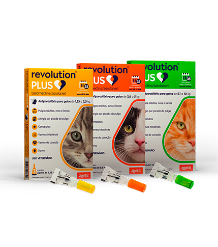 revolution plus.png2