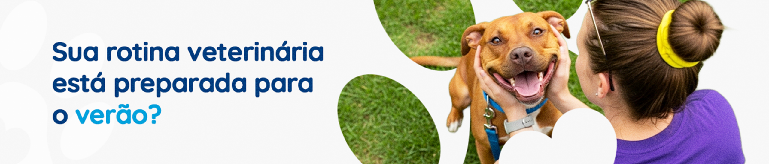 Guia operacional de verão para a rotina veterinária