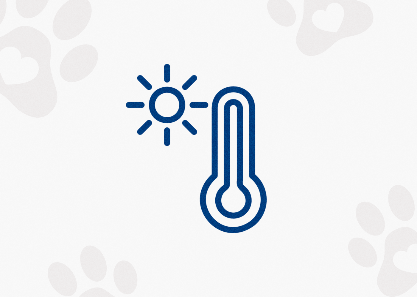 Guia operacional de verão: pontos de atenção para a rotina veterinária