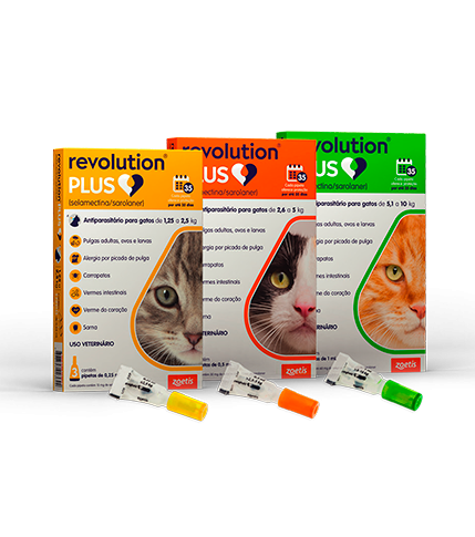 revolution plus.png2